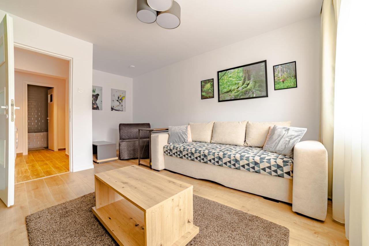 Mid-Term Rental Racadau Apartment Brassó Kültér fotó